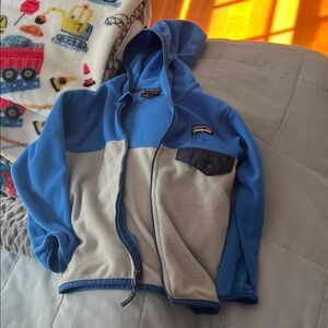 Patagonia Micro D Snap T fleece jacket